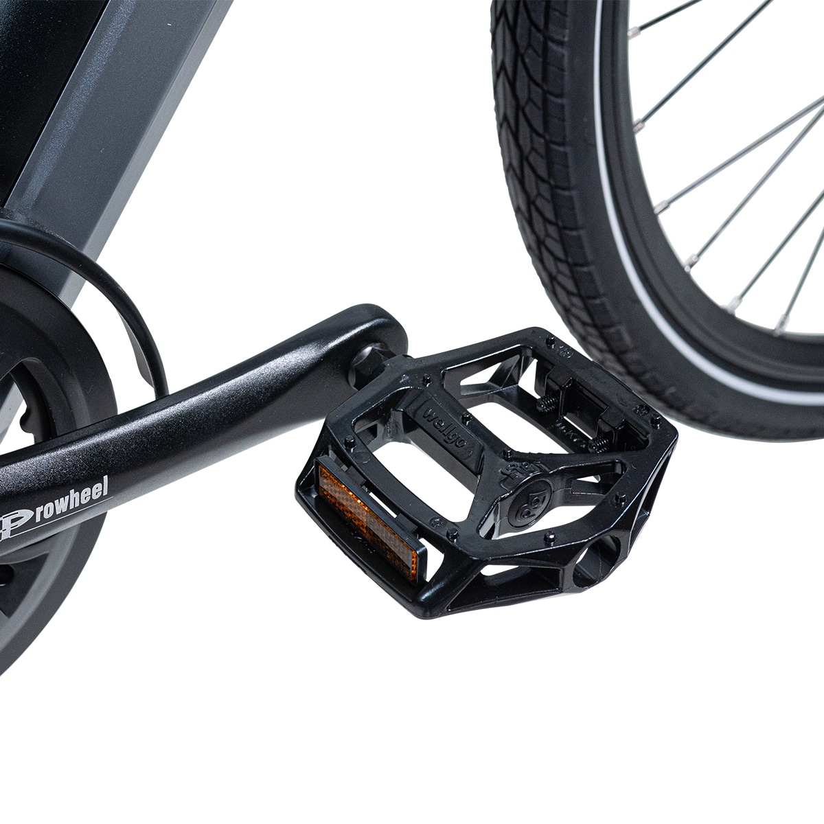 EvoBike SPORT-8 - Herr