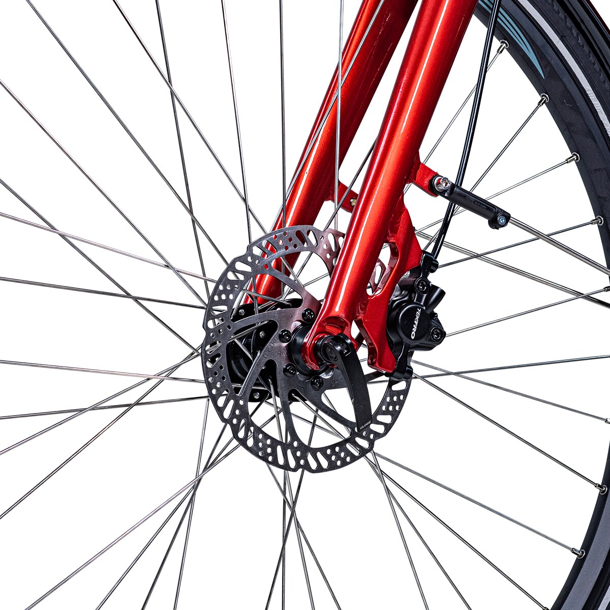 SPORT-9 Mid-Drive Dam 2024